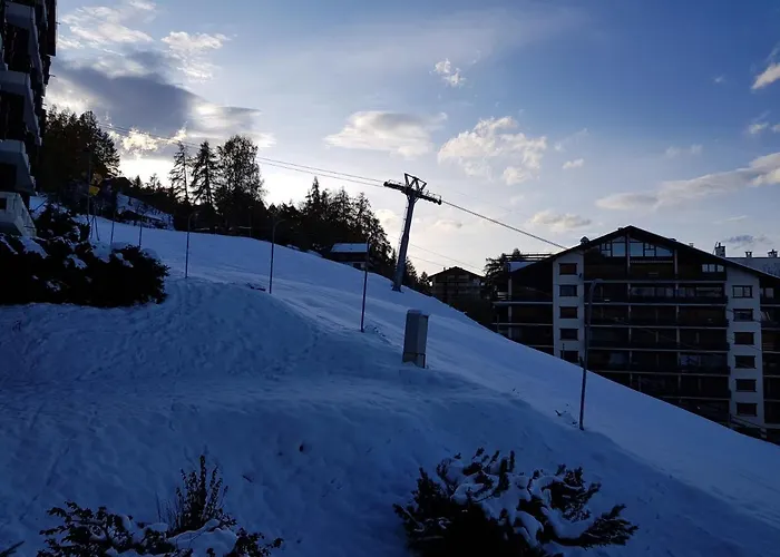 Hauts-de-nendaz G2 In-out Lejlighed Nendaz